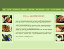 Tablet Screenshot of dwarfgeckos.com